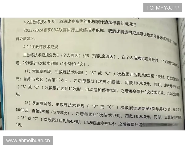 技术区规则拆解：教练行为限制和犯规判定细节解析