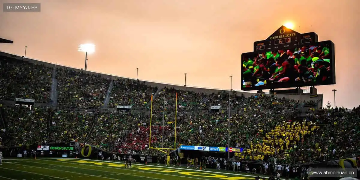 球星同款，即刻拥有！⚡️